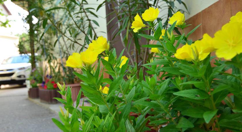 Гостиница Guest House Valentina Евпатория-71